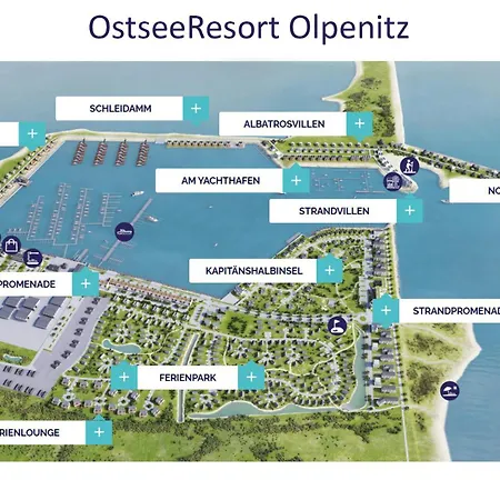 Meeresmuschel Olpenitz